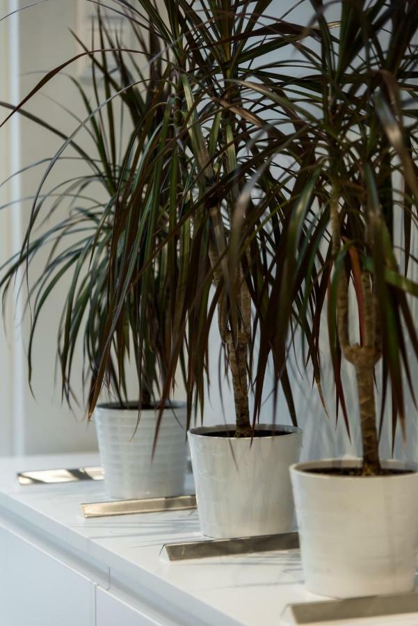 Central Cozy Studio With A Secret Garden Atene Esterno foto